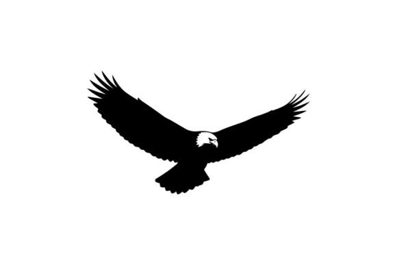 Bald Eagle Soaring in Flight Silhouette Graphics & Illustrations