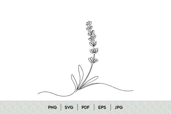 Lavender Flower Line Art Graphics & Illustrations